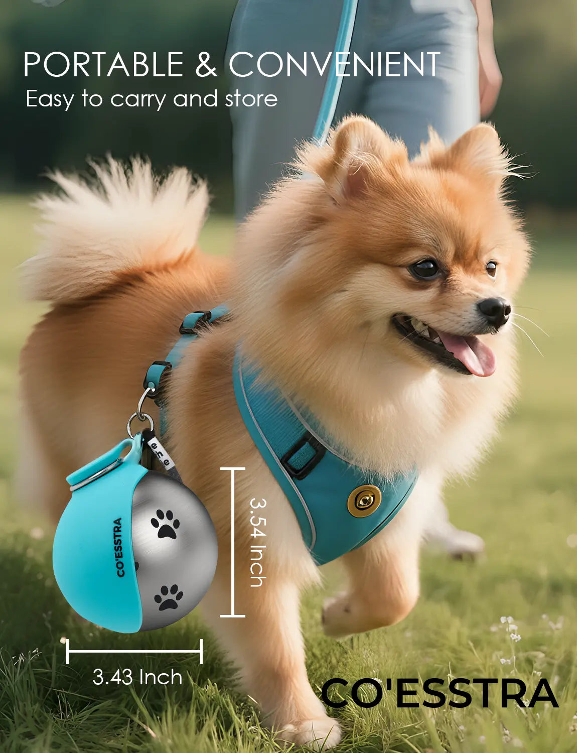 Stainless Steel Pet Water Bottle with Integrated Drinking Basin — 285ml Leak-Proof Travel Solution for Dogs and Cats, Ideal for Walks, Road Trips, and Outdoor Activities